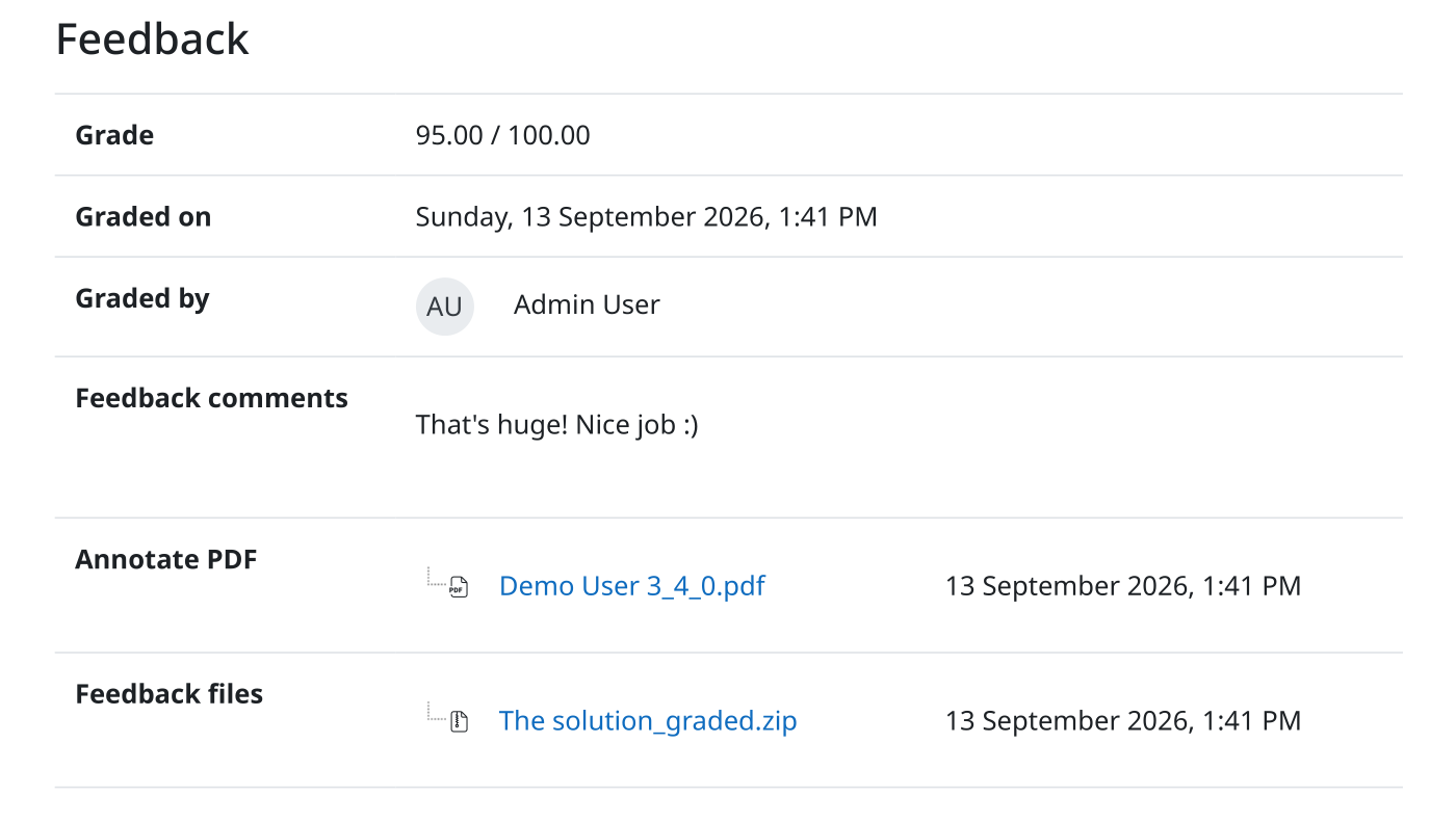 Screenshot: Grader feedback