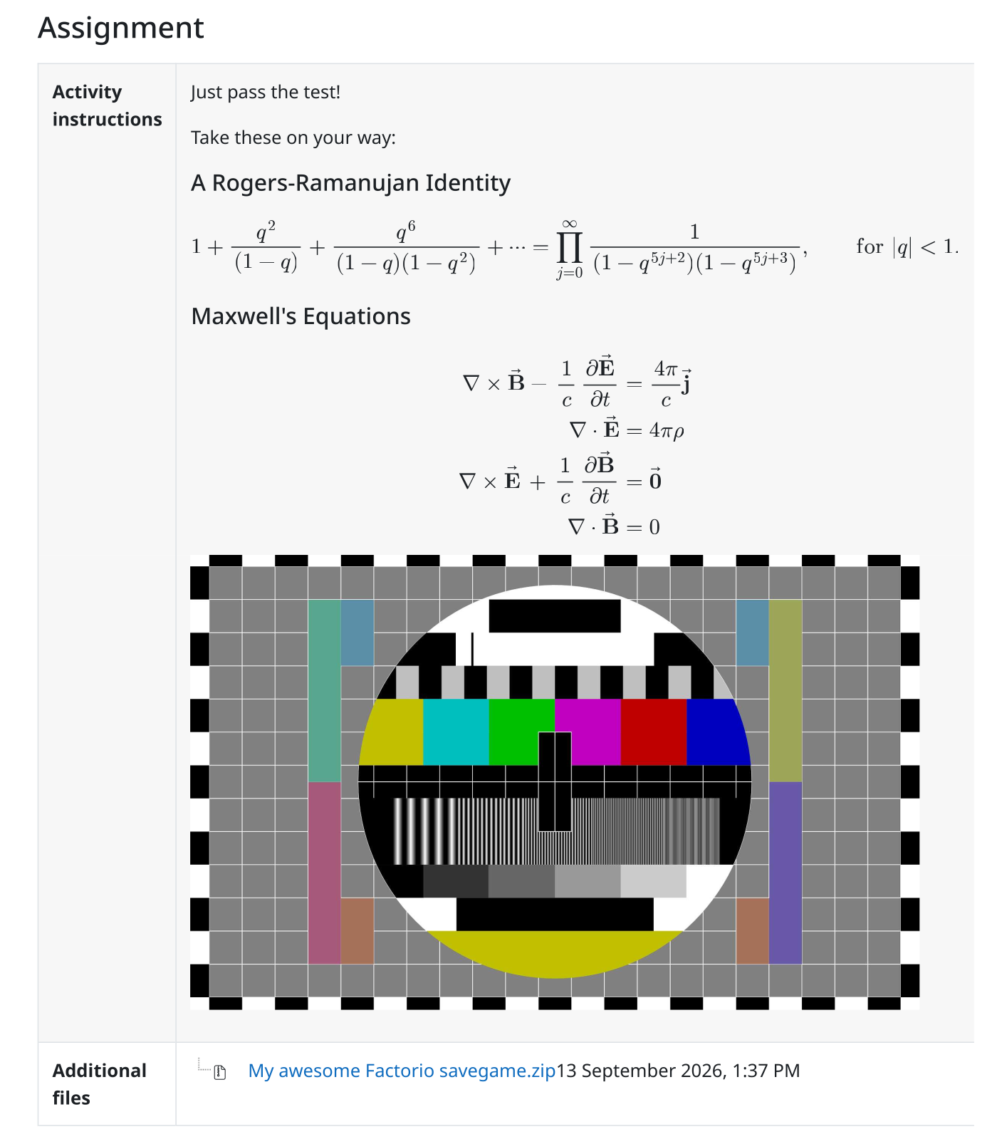 Screenshot: Assignment instructions
